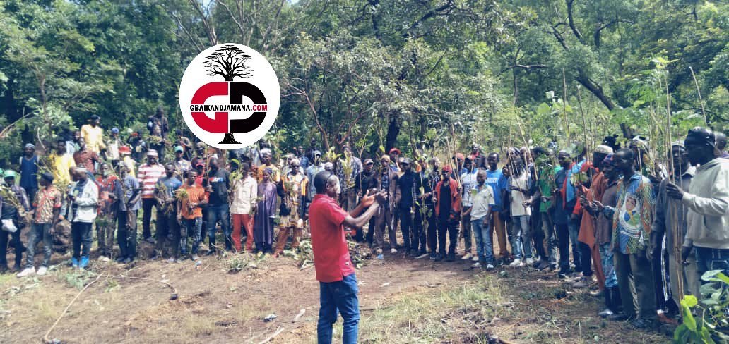 Dabola: Lancement d'une grande campagne de reboisement.