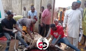 Kankan : Reconnaissant envers son bienfaiteur, Elhadj Nanfo Ismaila DIABY organise une cérémonie de sacrifice pour le président Mamadi Doumbouya