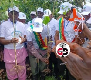Faranah : Une campagne de reboisement de 11 mille pieds de Milina lancée dans la commune rurale de Sandenia