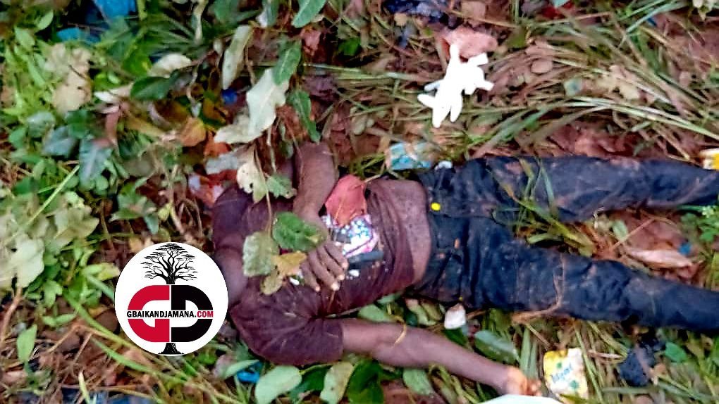 Siguiri : Un ressortissant de N'zérékoré perd la vie par noyade au secteur Ourouny ( les faits)