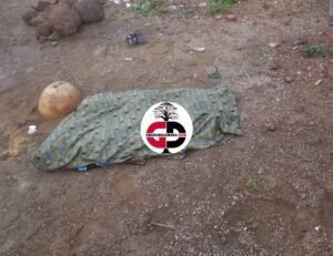 Siguiri : Les corps de deux enfants de même père, découverts dans une fosse septique à kourouni.