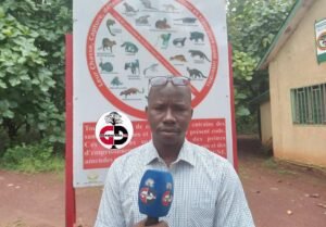 Campagne de reboisement à Dabola : « La préfecture a eu 60 hectares à reboiser »