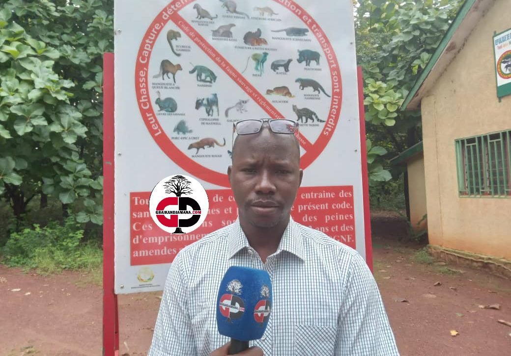 Campagne de reboisement à Dabola : « La préfecture a eu 60 hectares à reboiser »