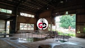 Kankan : abandonnée, l'usine de briqueterie est actuellement sous le contrôle des herbes et les animaux, qui s'y abritent ( constat)