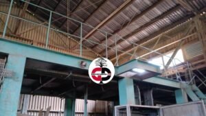 Kankan : abandonnée, l'usine de briqueterie est actuellement sous le contrôle des herbes et les animaux, qui s'y abritent ( constat)