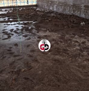 Mandiana : Une ferme avicole inondée, plus de 2000 poulets emportés.