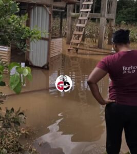 Mandiana : Une ferme avicole inondée, plus de 2000 poulets emportés.
