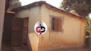 Kouroussa : Triste fin de Baba Camara, acteur principal du célèbre film l'enfant noir de Camara laye, devenu fou et abandonné depuis des années.