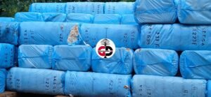 Journée Mondiale du Coton : Voici ce qu'en dit le directeur général de la société cotonnière de Kankan.