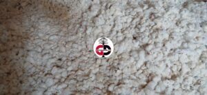 Journée Mondiale du Coton : Voici ce qu'en dit le directeur général de la société cotonnière de Kankan.