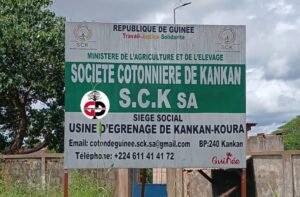 Journée Mondiale du Coton : Voici ce qu'en dit le directeur général de la société cotonnière de Kankan.