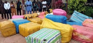 Conakry : La police présente à la Presse, vingt-six (26 cannabis saisies par les autorités de Coyah.