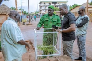Atténuation du réchauffement climatique à Siguiri : Un projet de reboisement dans les différents quartiers de la ville. 3 Atténuation du réchauffement climatique à Siguiri : Un projet de reboisement dans les différents quartiers de la ville.