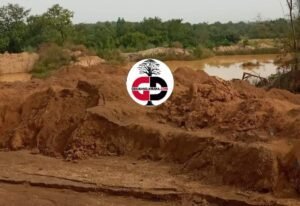 Konkoye (mandiana) : la société chinoise hongxing mining guinée sarl accusée de destruction de l'environnement par la population, qui exige son départ immédiat.