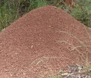 Faranah : à la rencontre des femmes veuves qui évoluent dans la vente du gravier pour subvenir à leurs besoins quotidiens.