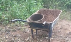 Faranah : à la rencontre des femmes veuves qui évoluent dans la vente du gravier pour subvenir à leurs besoins quotidiens.