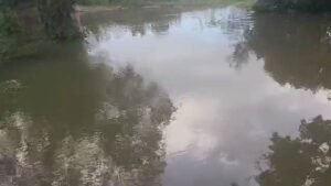 Kankan : Un jeune garçon de 15 ans trouve la mort par noyade dans la rivière Boutouroun (témoignages)