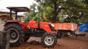 Mandiana : À la rencontre de Toumani Diakité, un jeune passionné de l'agriculture. 