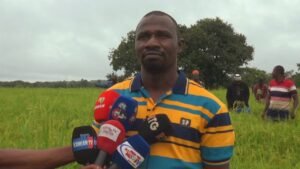 Mandiana : À la rencontre de Toumani Diakité, un jeune passionné de l'agriculture. 