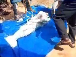 Kintinian (Siguiri) : Un jeune orpailleur de 22 ans trouve la mort dans un accident de circulation à Bouré-Köfilani 2 Kintinian (Siguiri) : Un jeune orpailleur de 22 ans trouve la mort dans un accident de circulation à Bouré-Köfilani