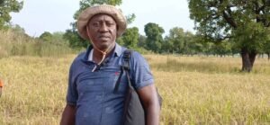 Siguiri : Les agriculteurs expriment leur inquiétude face au manque de moissonneuses-batteuses.