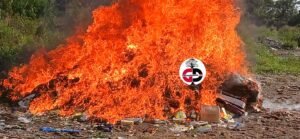 Kankan : Plus de 800 kg de boules de chanvre indien, 125 Kg de produits pharmaceutiques périmés, incinérés par les autorités.