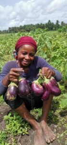 Guinée : Zoom sur Youth Agro Power, une entreprise Agro-business qui marque son existence à travers tout le pays. 