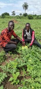 Guinée : Zoom sur Youth Agro Power, une entreprise Agro-business qui marque son existence à travers tout le pays. 