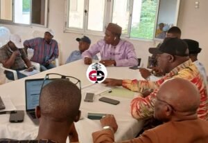 Faranah : Une Mission du CNT dans la région pour la campagne de vulgarisation de l'avant projet de la nouvelle Constitution. 