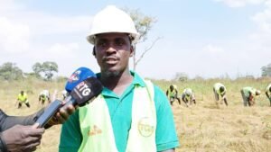 Région forestière : la coopérative nany sabougnouma aménage plus de 150 hectares à beyla avec des cultures différentes.  