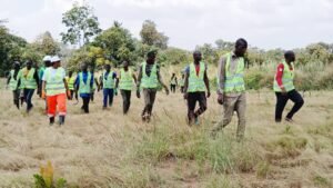 Région forestière : la coopérative nany sabougnouma aménage plus de 150 hectares à beyla avec des cultures différentes.  