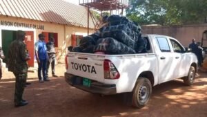 Labé : Plusieurs kilogrammes de cannabis, du tramadol et de la drogue Kush, ont été incinérés par les autorités.