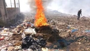 Labé : Plusieurs kilogrammes de cannabis, du tramadol et de la drogue Kush, ont été incinérés par les autorités.