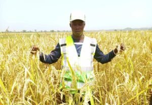 Haute-Guinée : À la rencontre de Lonceny CONDÉ, technicien chimiste et passionné de l'agriculture
