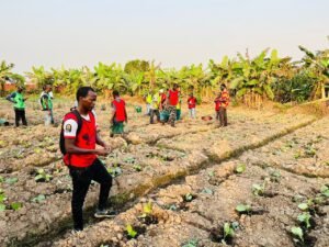 Fin de la formation de la 5ème cohorte en entreprenariat agricole au ceda : un pas de plus vers l'avenir de l'agriculture en guinée.  