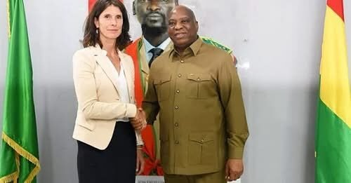 Politique: Le Ministre des Affaires Étrangères Reçoit l’Ambassadeur de la Hollande en Guinée