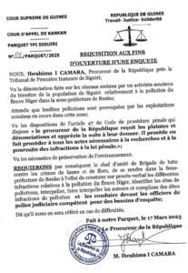 Siguiri : La justice frappe fort contre la pollution du fleuve Niger