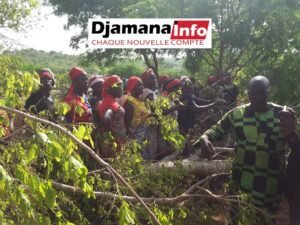 Faranah : Les autorités interviennent pour apaiser les tensions à Taganyah