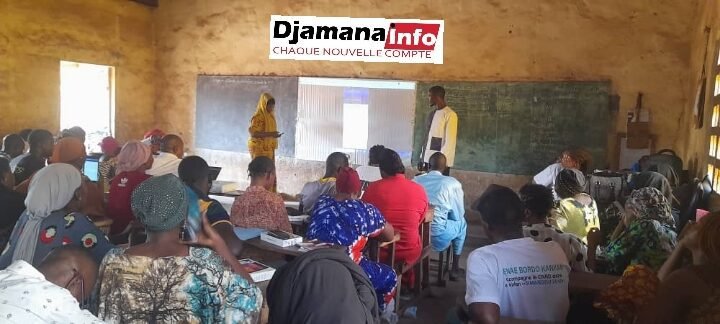 Kankan : des agents recenseurs formés pour la distribution gratuite des moustiquaires MILDA