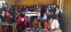 Kankan : des agents recenseurs formés pour la distribution gratuite des moustiquaires MILDA