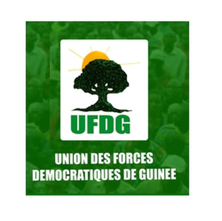 Guinée : l’UFDG dément une déclaration attribuée à un faux « collège des secrétaires fédéraux de la Basse Guinée »