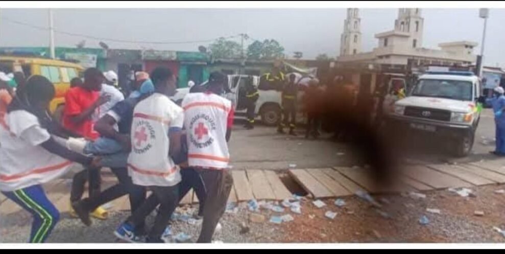 Mamou sous le choc : une attaque d’abeilles transforme la célébration du CNRD en cauchemar