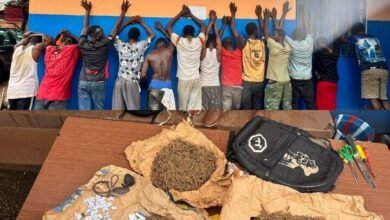 Drogue à Conakry : un coup de filet à Lambanyi, treize arrestations et une saisie inquiétante 7 Drogue à Conakry : un coup de filet à Lambanyi, treize arrestations et une saisie inquiétante