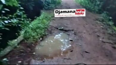 Kouakoro (Gueckédou) : le pont d’accès au district central totalement impraticable