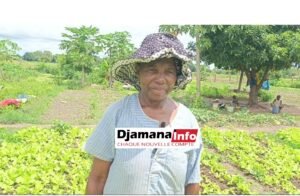 Union maraîchère de Bordo(kankan) : 25 hectares exploités, mais de nombreux défis à relever