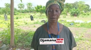 Union maraîchère de Bordo(kankan) : 25 hectares exploités, mais de nombreux défis à relever