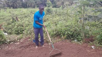 Kouroussa/Misamana : Un jeune imam se lance dans l’agriculture moderne pour stimuler l’emploi rural
