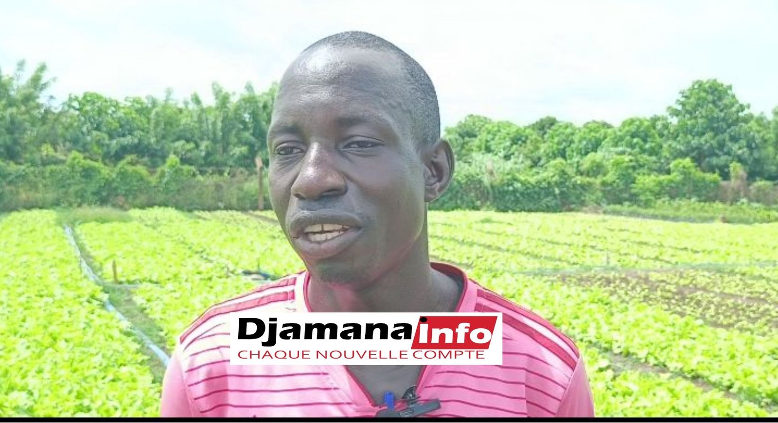 Agriculture ou administration ? À Kankan, un jeune tranche et inspire