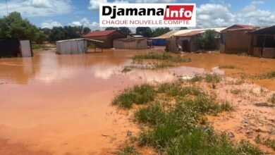 Siguiri : des inondations causent d'importants dégâts à Séké Bembéta, dans la sous-préfecture de Doko