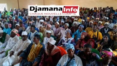 Faranah : La mission de vulgarisation du projet de la nouvelle Constitution achevée à Maréla